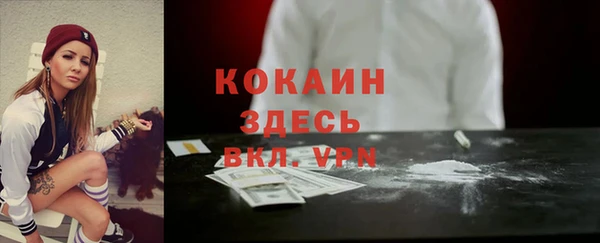 прущие грибы Слюдянка